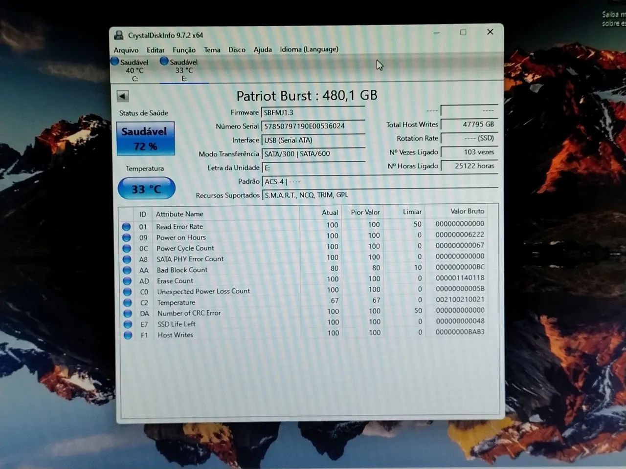 SSD Patriot Burst 480G.
