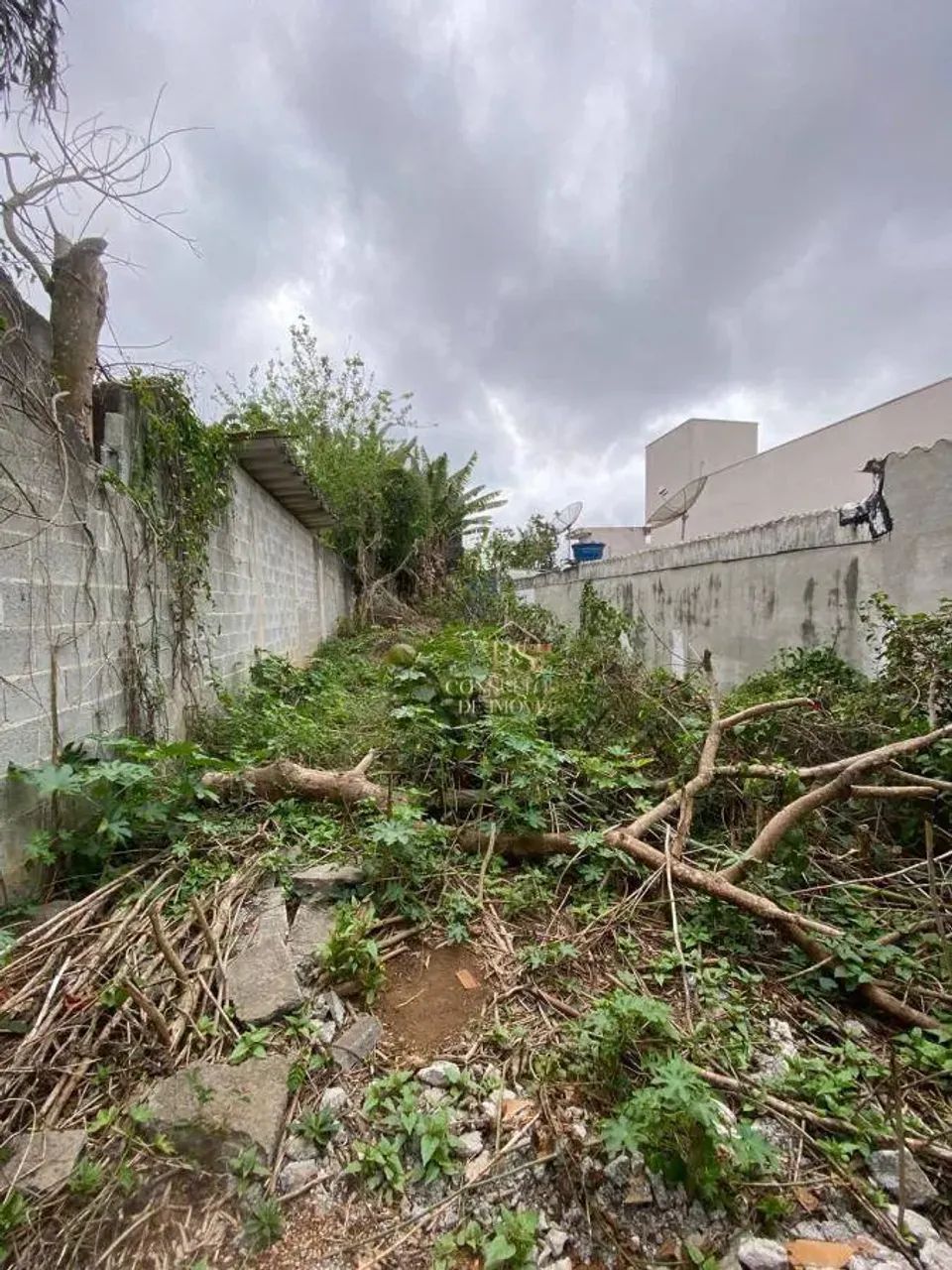 Terreno para Venda no bairro Cidade Edson - Foto 2