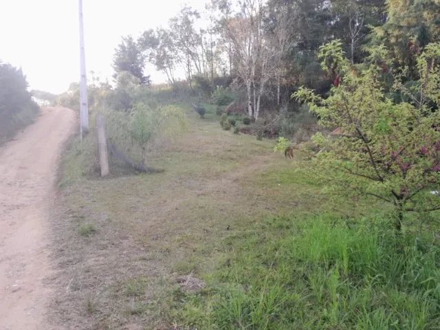 Chácara Contenda - Foto 3