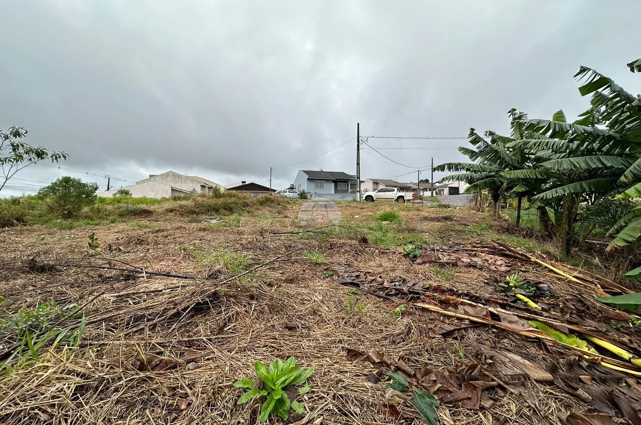Vendas Terreno Pato Branco PR - Foto 4