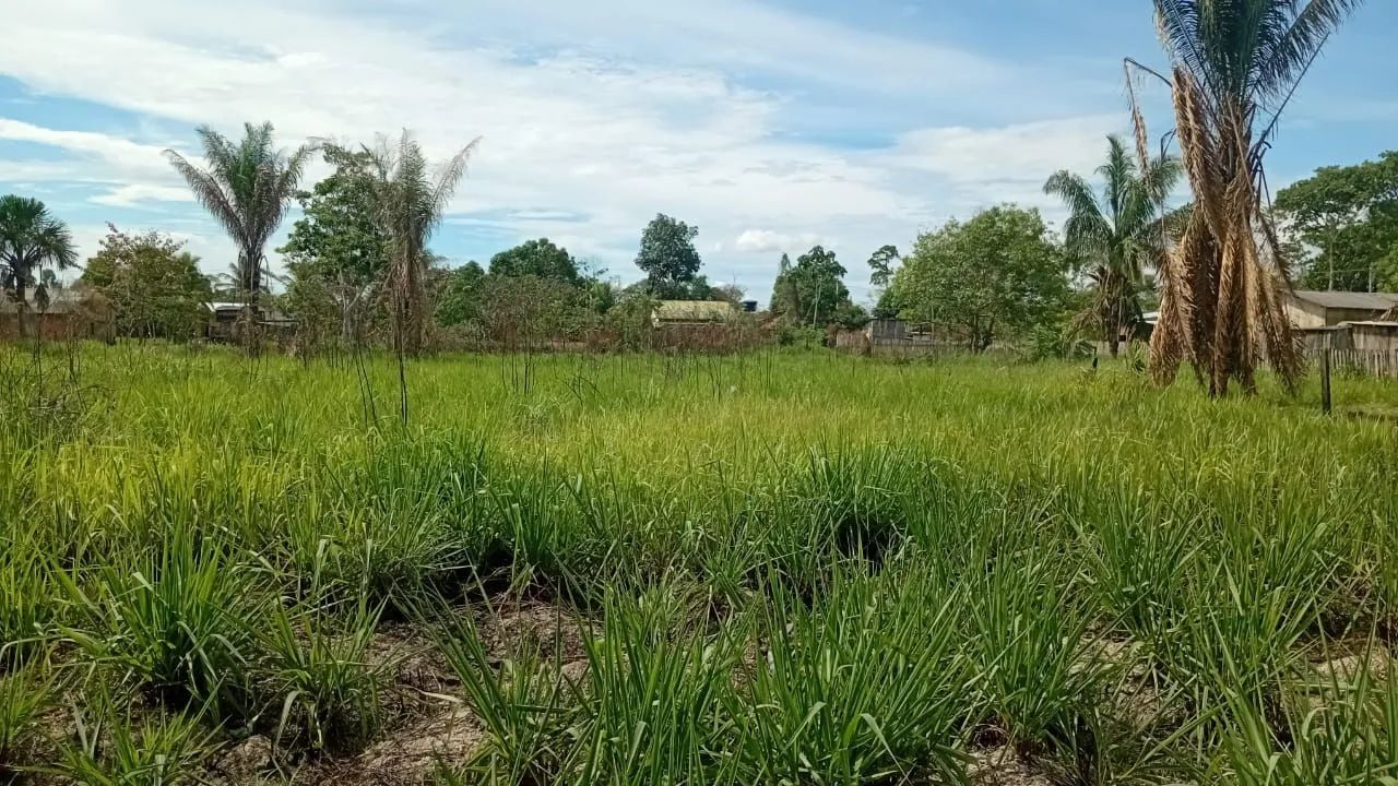 Foto - Rio Branco - Belo Jardim I