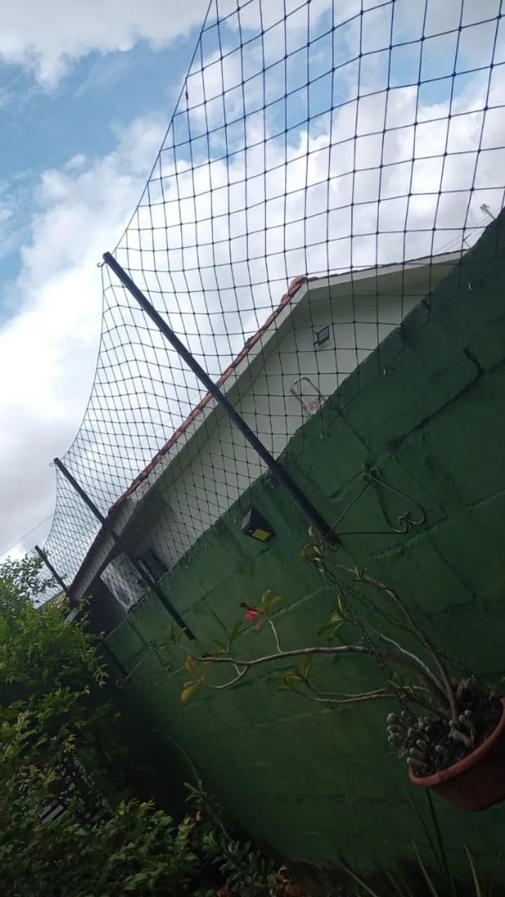 Telas de Proteção  - Foto 5
