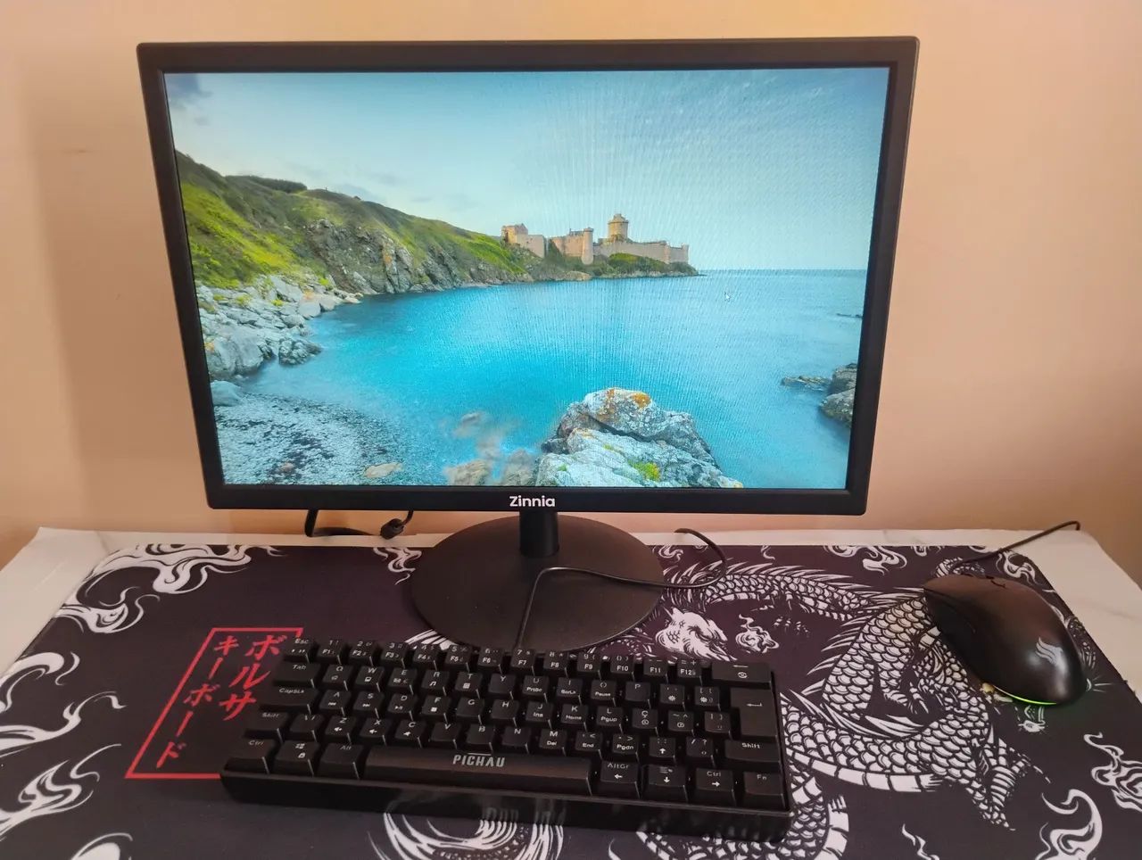 PC gamer, aceito trocas