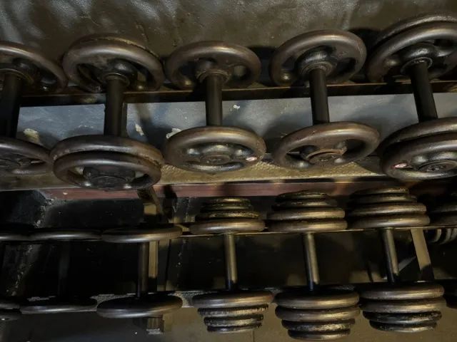 Halter de academia  (Dumbbell de 6 a 30 kilos) Estante   - Foto 2