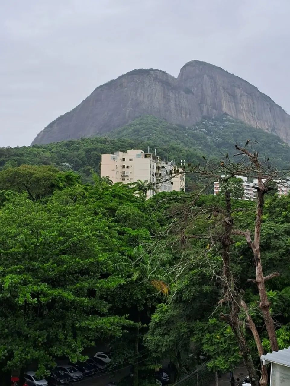 Foto - Rio de Janeiro - Gávea