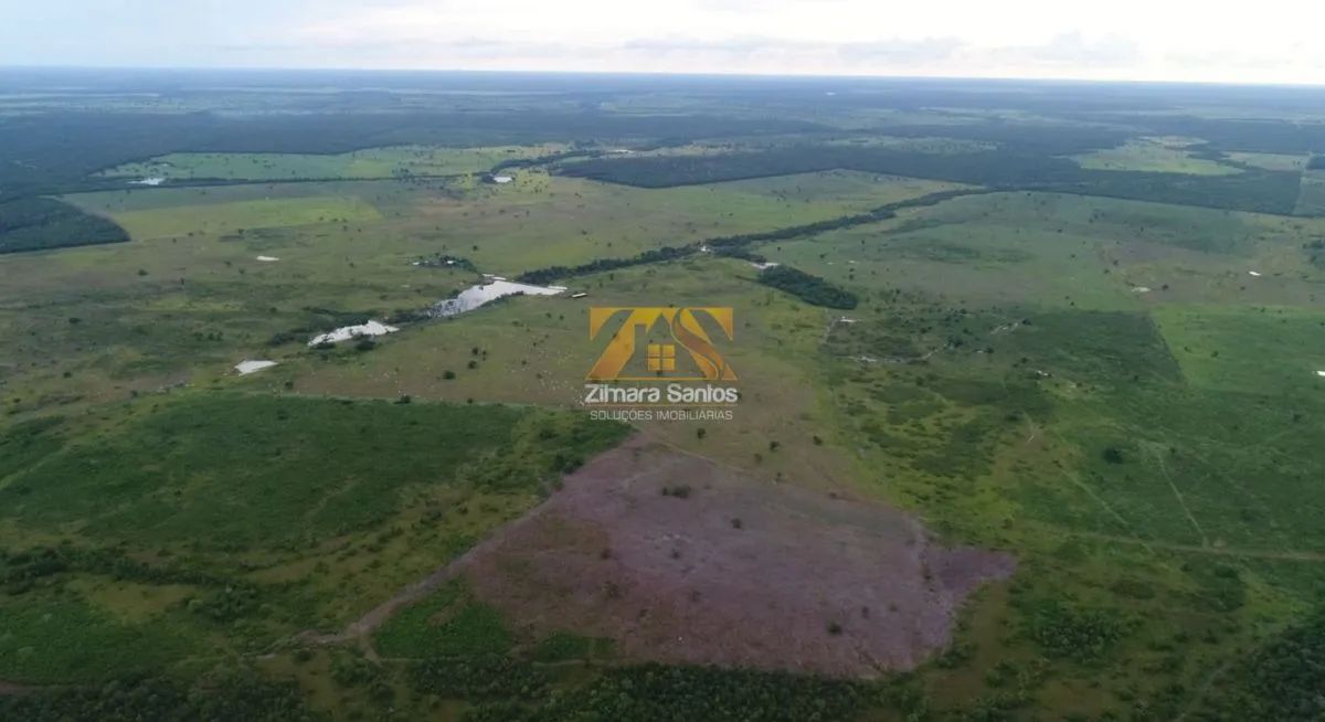 Fazenda, 276,5 alqueires - Zona Rural - Santa Rita/TO - Foto 4