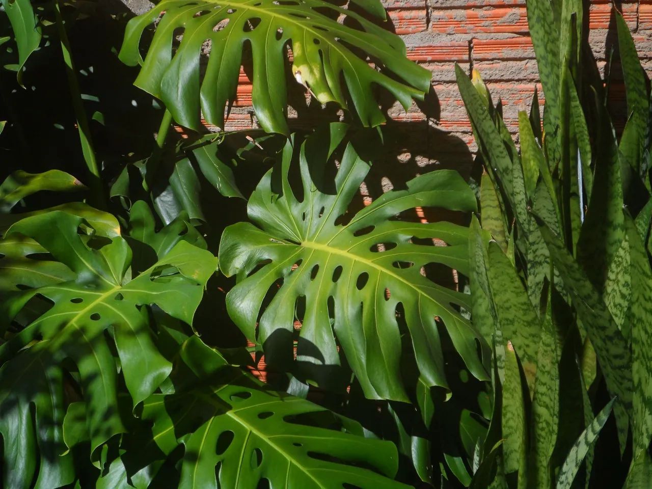 camera digital samsung dv300f - Foto 5