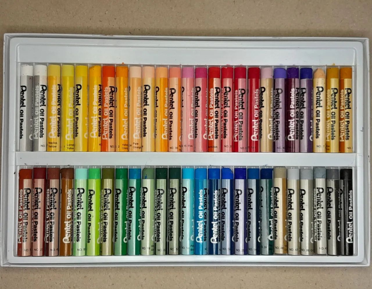 Giz pastel oleoso pentel 50 cores