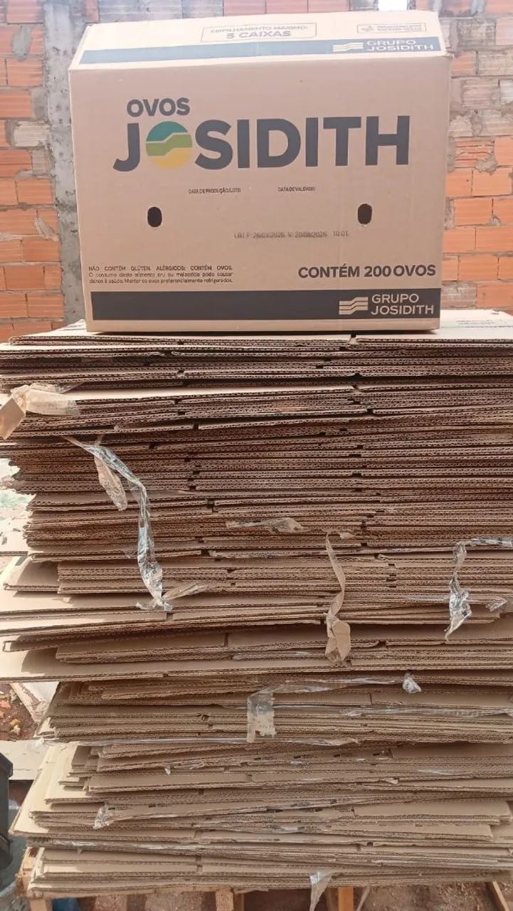 Caixas para sua mudança media e grandes  - Foto 2