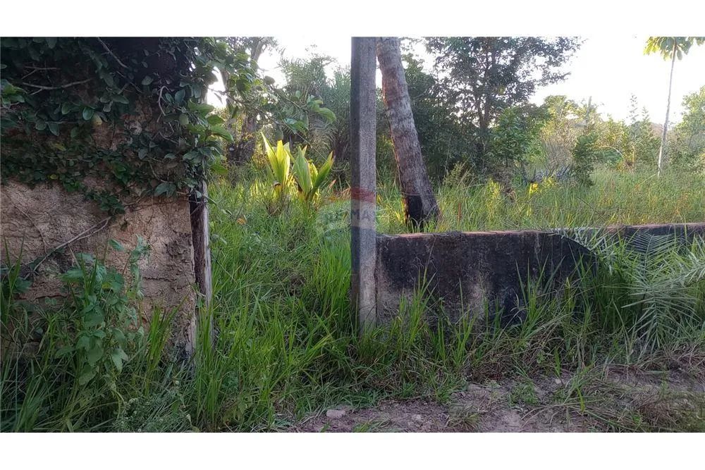 GRANDE ÁREA NO INÍCIO DA AV. LINHA VERDE (PRÓXIMA À FACULDADE ESTÁCIO) - Foto 4
