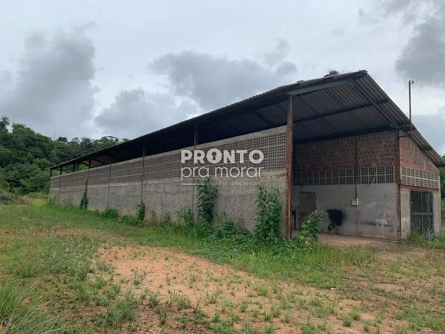 Galpão/Depósito/Armazém em Passarinho - Foto 3