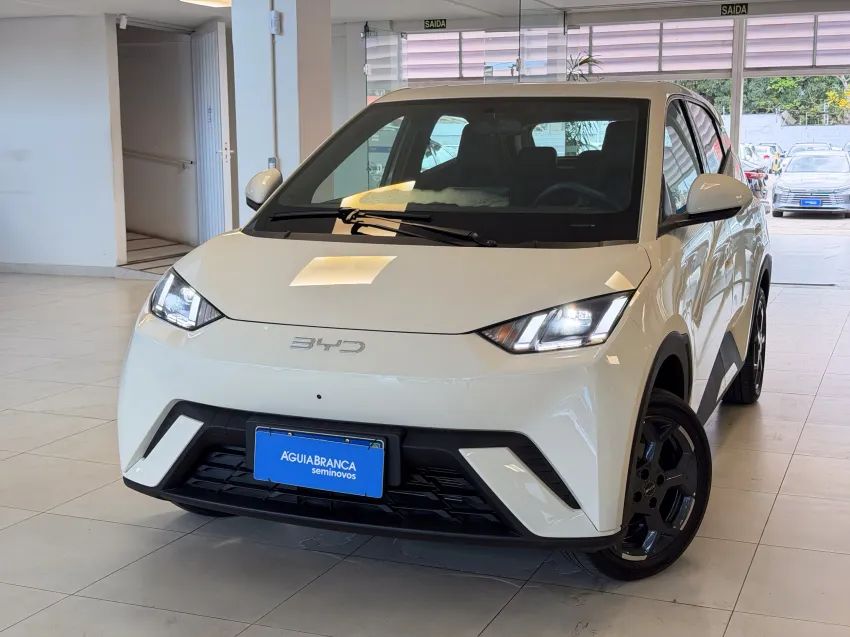 BYD Dolphin Mini (Elétrico) 2027