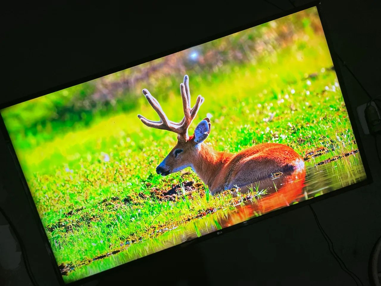 Tv 55 polegadas LG  - Foto 2