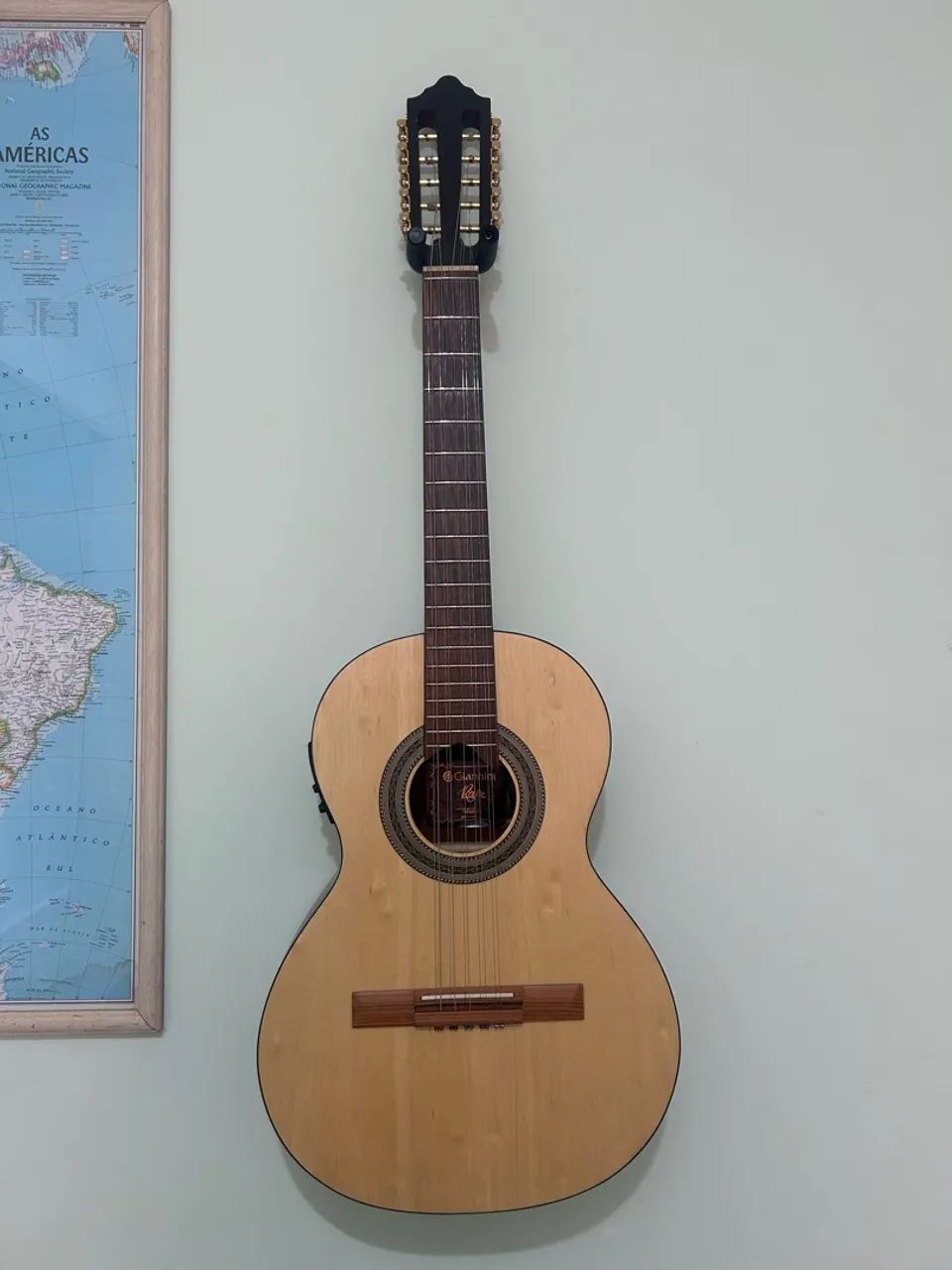 viola giannini raiz eletroacústica 