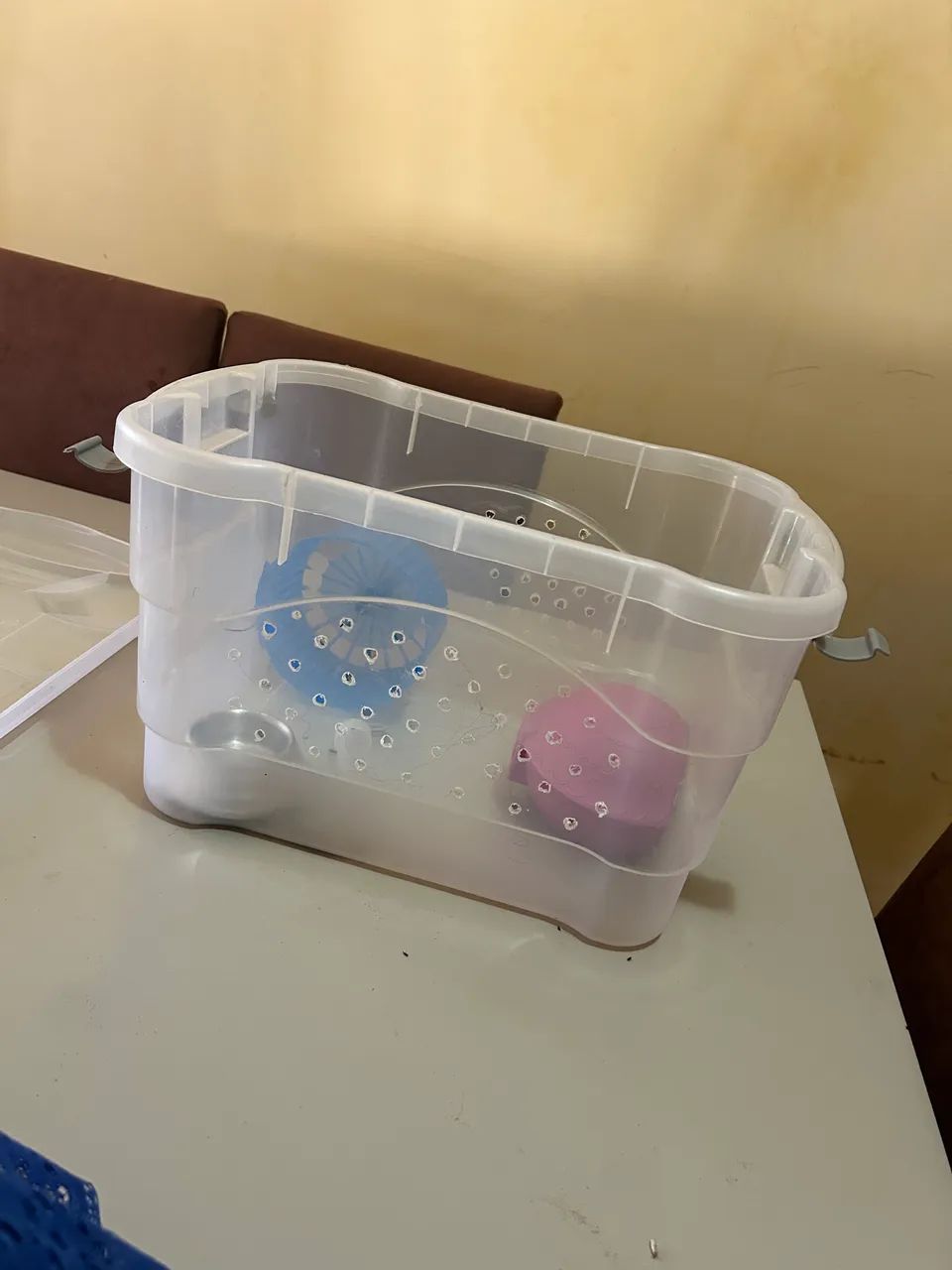 Cada pra Hamster - Foto 2