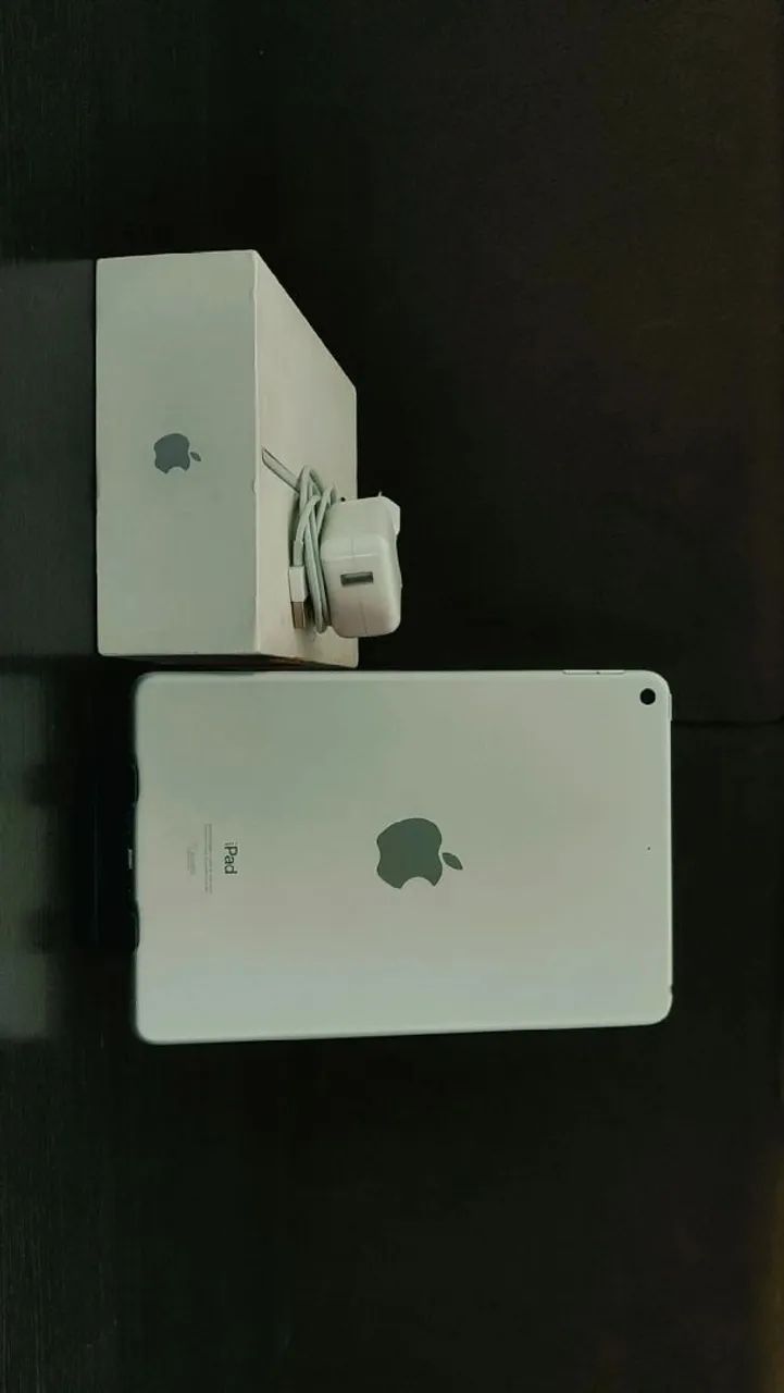 iPad Mini 5 Wi-Fi 256gb - Tablets e E-Readers - Formosinha