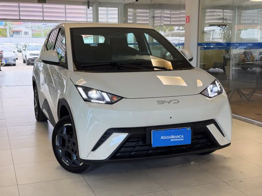 BYD Dolphin Mini (Elétrico) 2027 - Foto 5