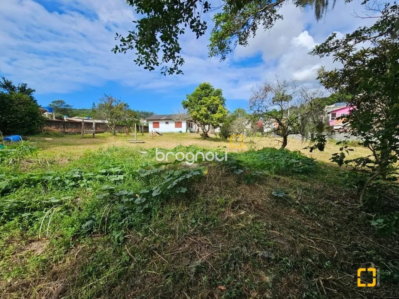 Terreno Cachoeira do Bom Jesus Florianópolis - Foto 3