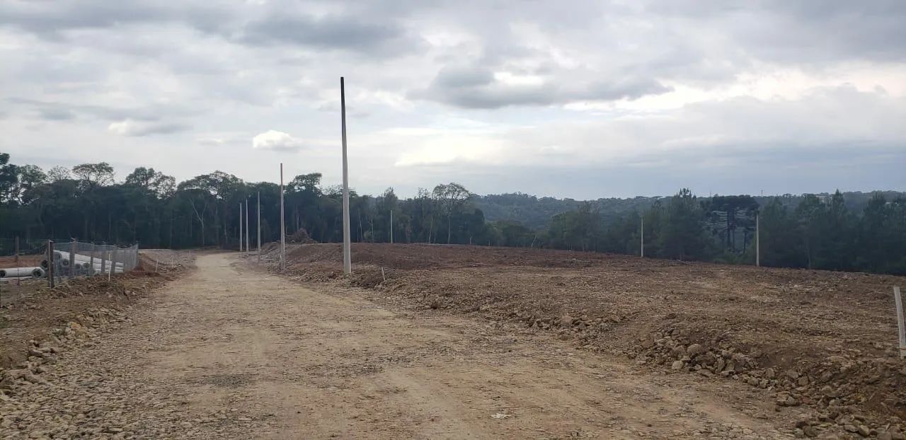 Terreno - Bairro Dutra - Foto 4