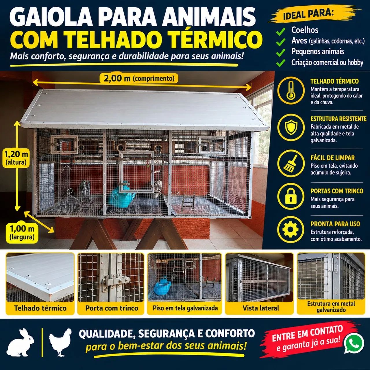 Pet shopping  - Foto 2