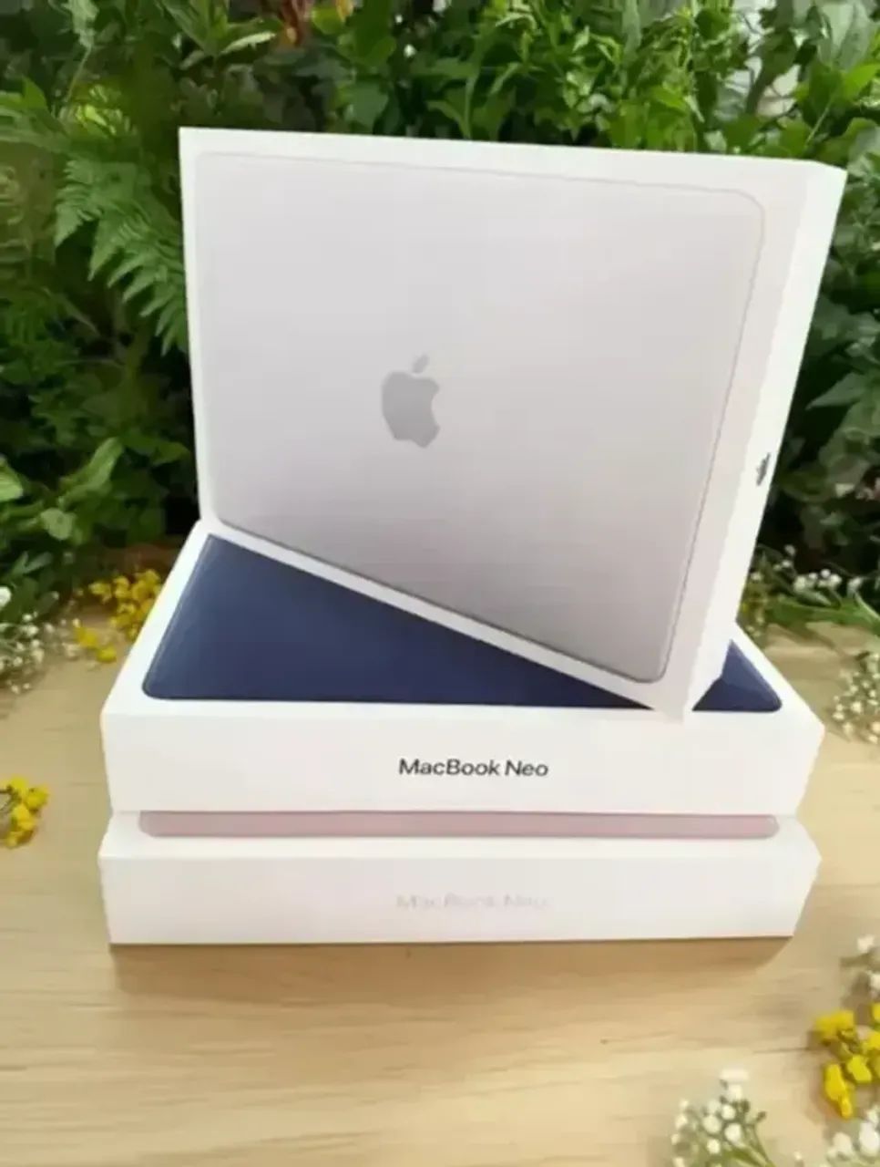 新品未開封 MacBook Neo ブラッシュ 8GB/256GB MacBook Neo 8GB/ 256GB - Notebooks - Mangabeiras, Maceió
