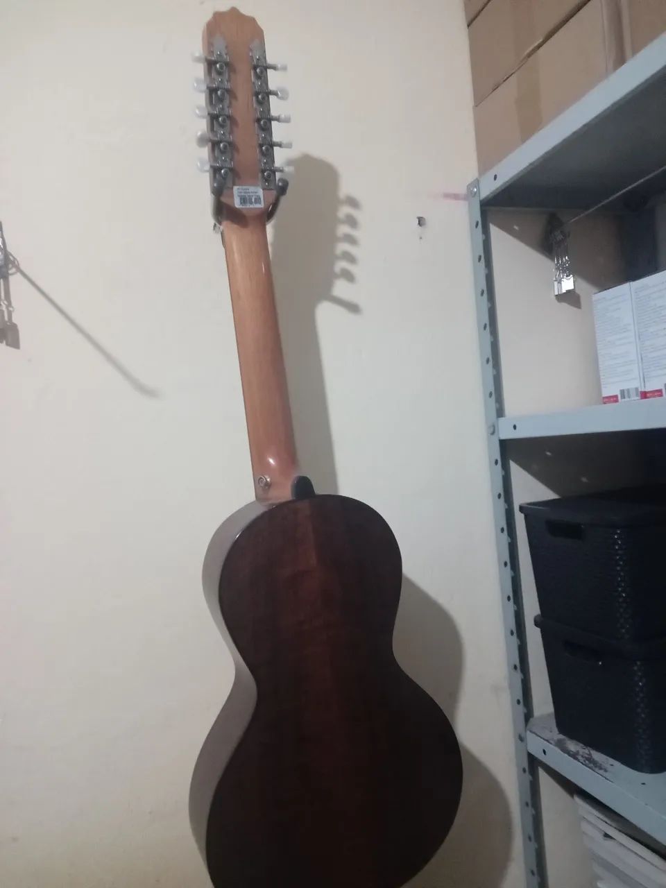Viola ROSINI - Foto 3