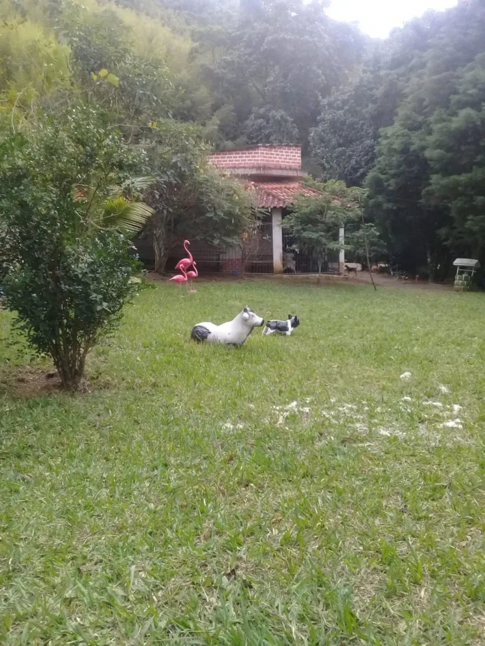 excelente Sítio em Engenheiro Paulo de Frontin - Foto 2