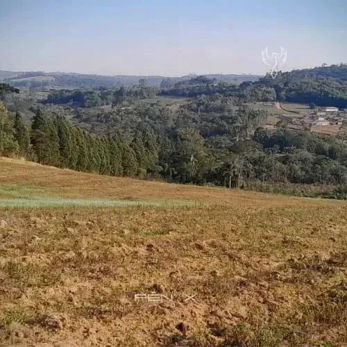 70  Descubra o Terreno Perfeito Para Sua Casa de Campo!