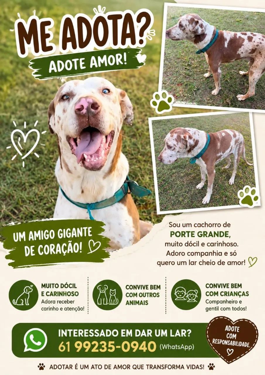 Adoção Responsável 