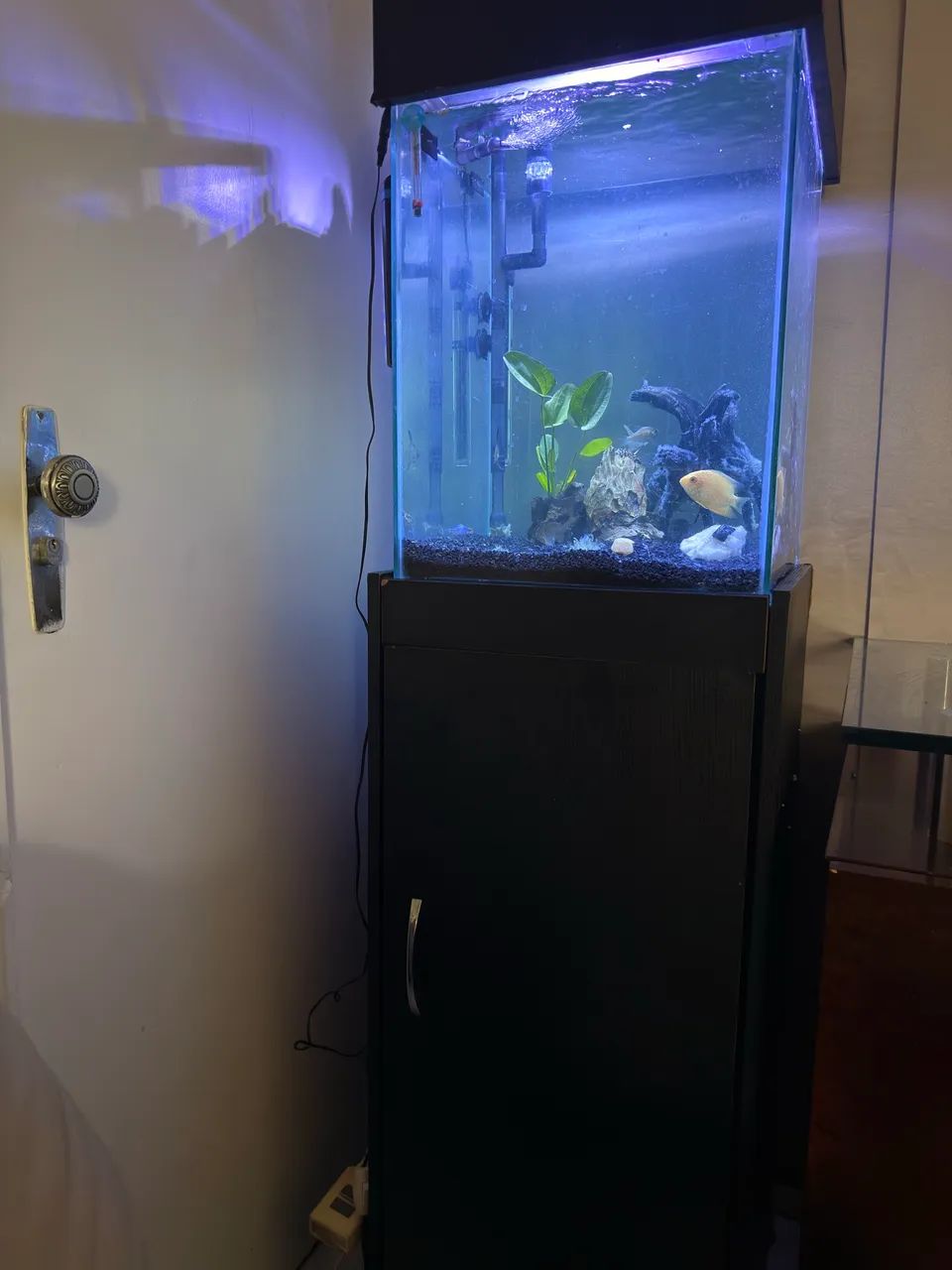 Aquário com móvel  - Foto 2