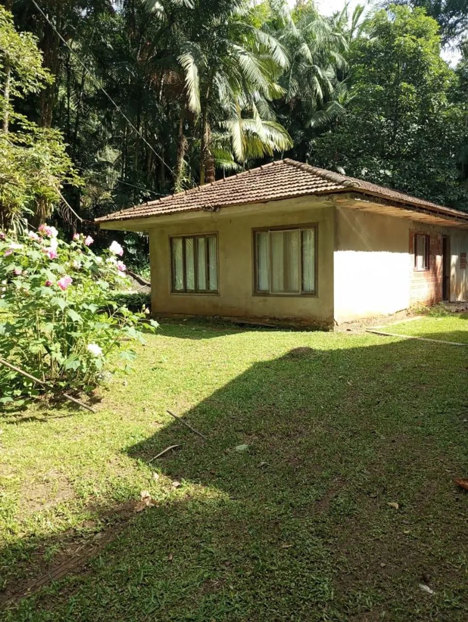 Terreno / sítio / Chácara  - Foto 5