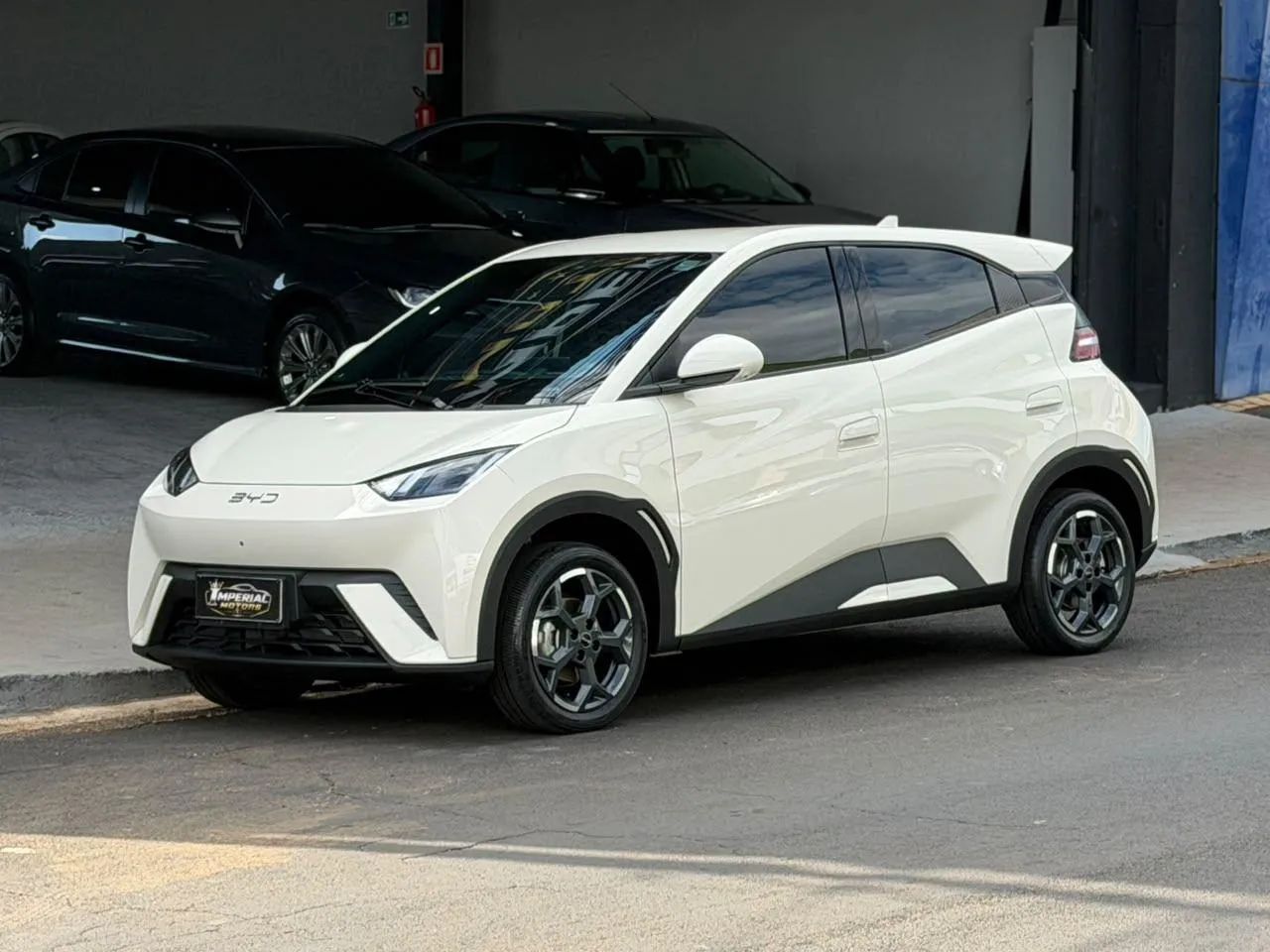 BYD Dolphin Mini (Elétrico) 2027