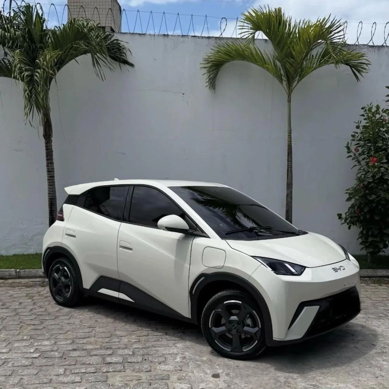 BYD Dolphin Mini (Elétrico) 2025
