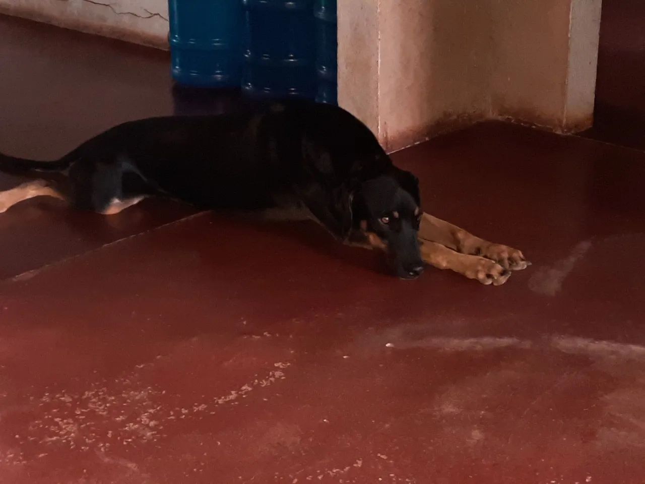 Casa à venda/ler descrição "leia"