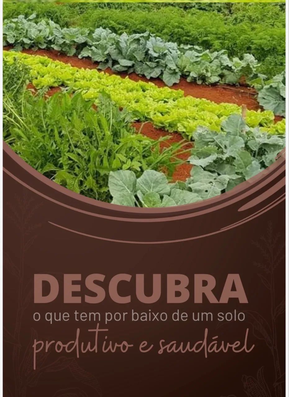 Adubo Natural  - Foto 2