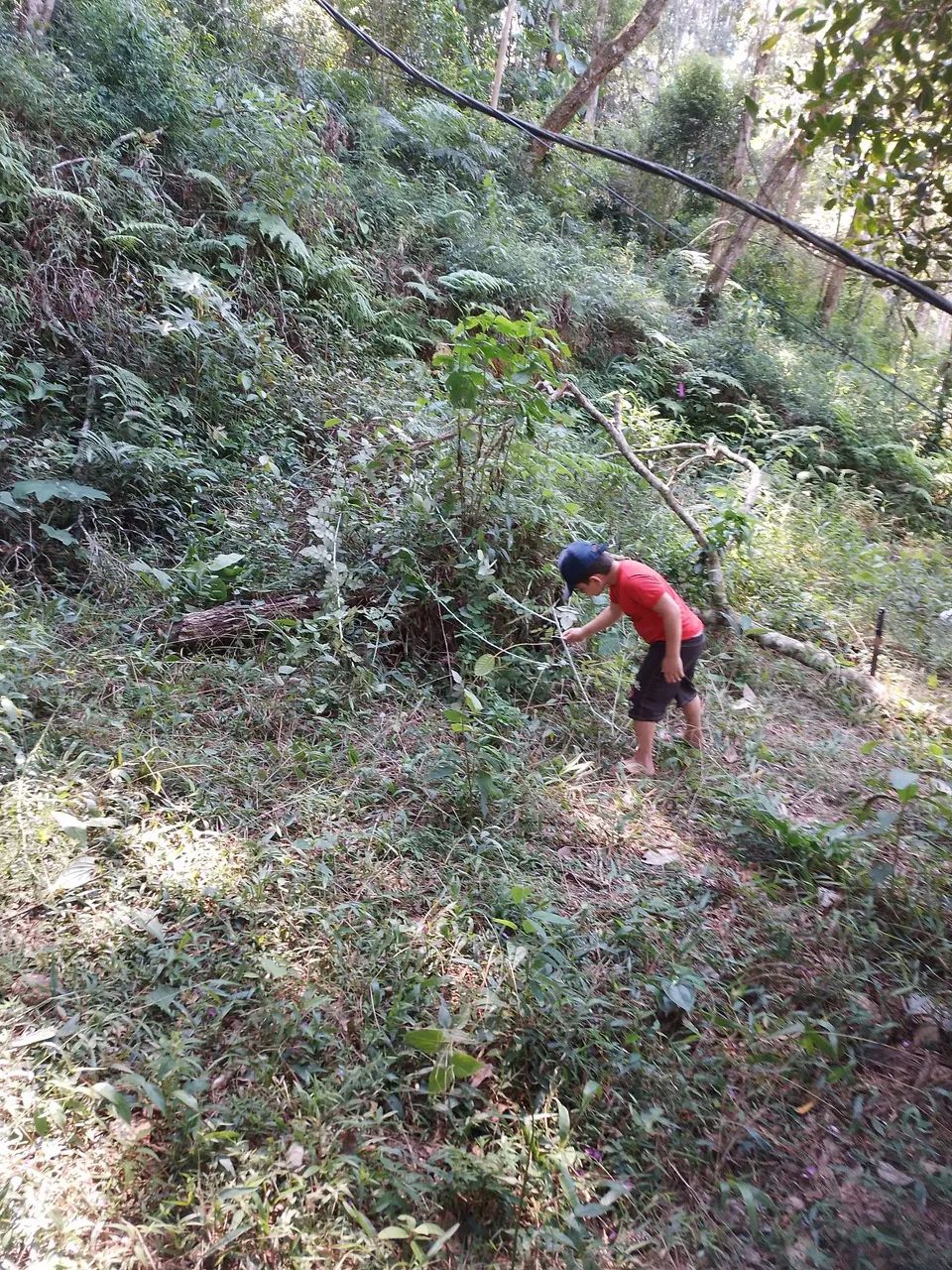 Vendo terreno no bairro de itatuba  - Foto 2