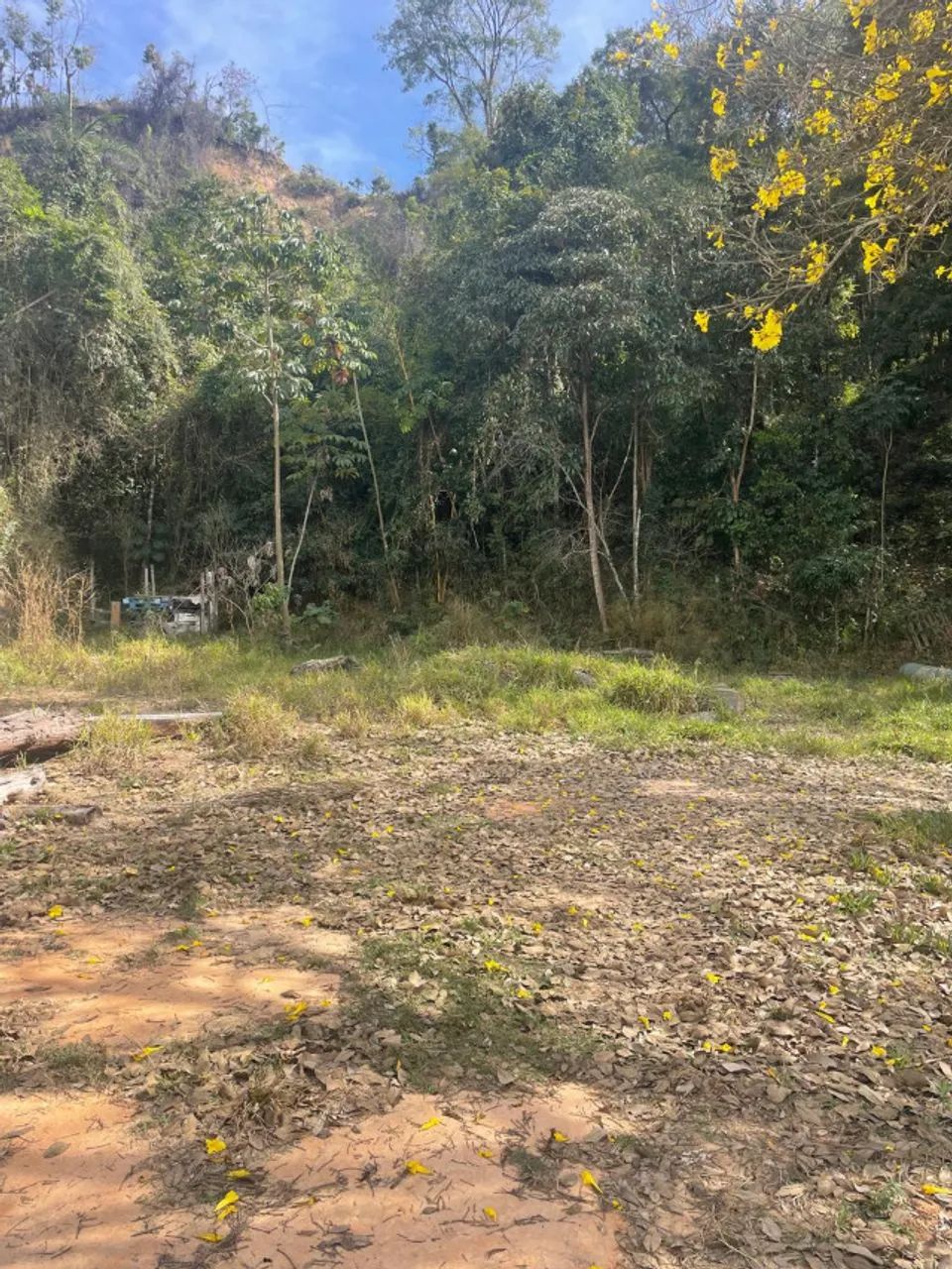 Foto - São José da Lapa - 