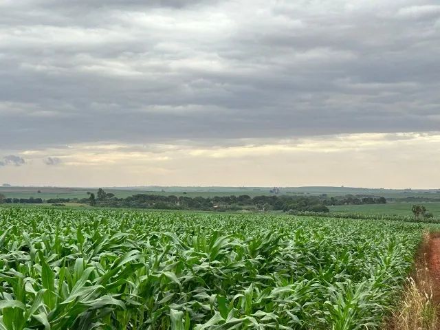 Vendo Imóvel rural-  SÍTIO em Andirá/PR - Foto 2