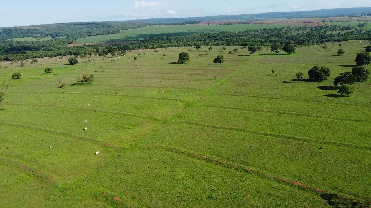 Fazenda dupla aptidão campina verde  - Foto 5