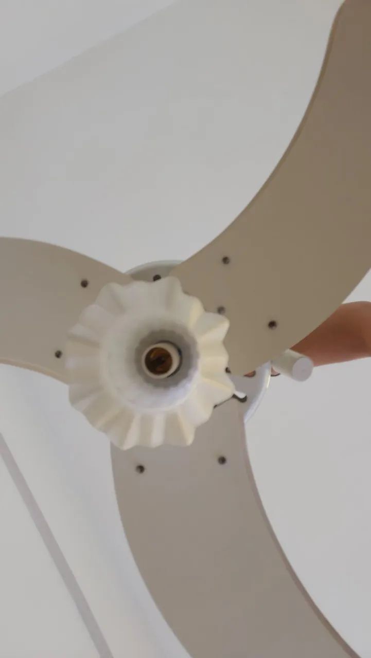 Ventilado de teto
