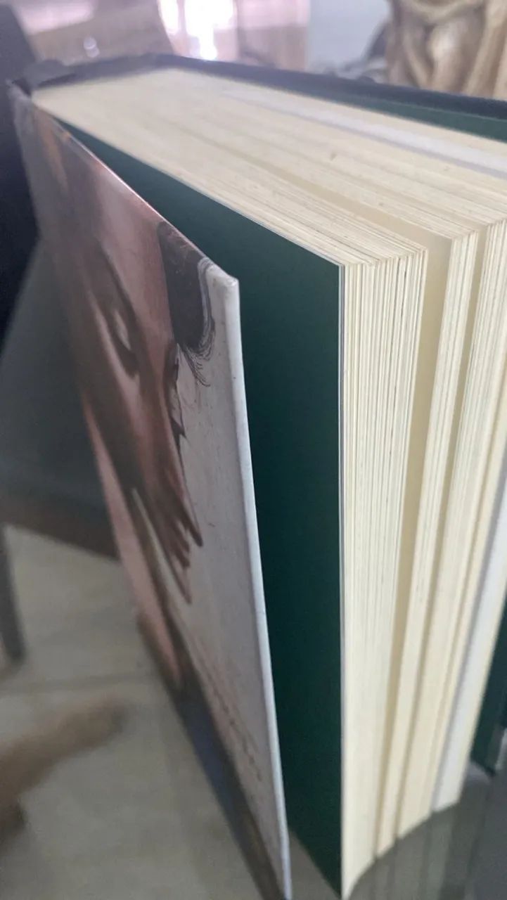 Livro Michelângelo  - Foto 5