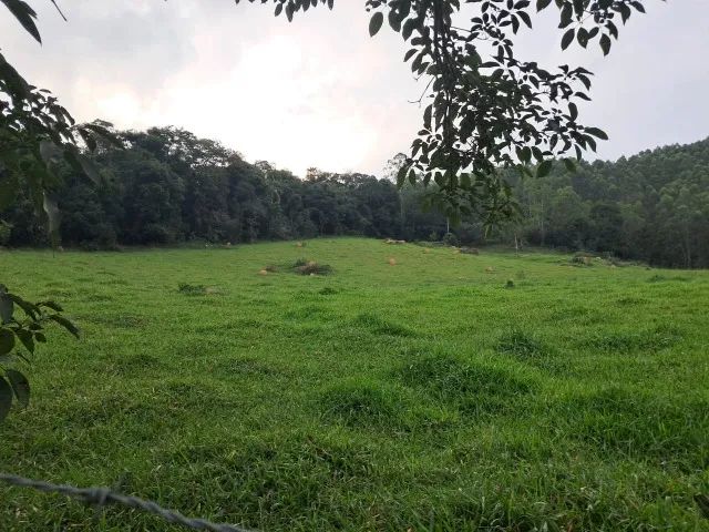 5 Alqueires - Atibaia/SP - Foto 5