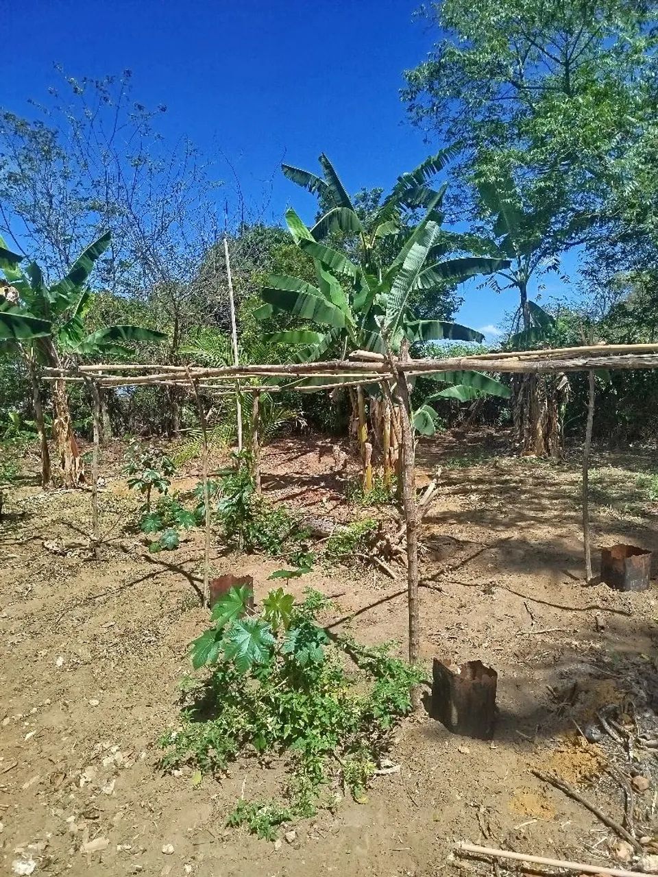 Sítio lagoinha - Nova Iguaçu - RJ - Foto 6
