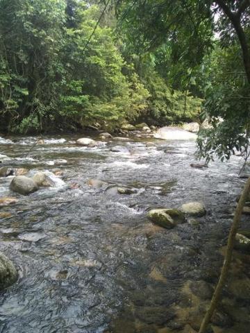 Terreno à venda em Parque veneza, Cachoeiras de macacu cod:TE0116 - Foto 9