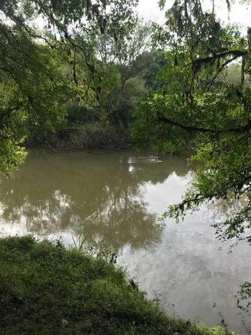 Sítio em Rio Rufino - Foto 5