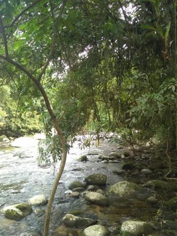 Terreno à venda em Parque veneza, Cachoeiras de macacu cod:TE0116 - Foto 6