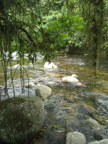 Terreno à venda em Parque veneza, Cachoeiras de macacu cod:TE0116 - Foto 5