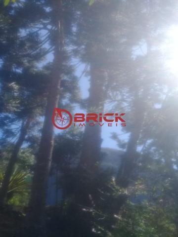Sítio com área de 3 mil m² em santa rita. teresópolis- rj. - Foto 5