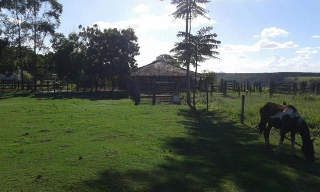 Fazenda para venda em nova viçosa, distrito de argolo - Foto 14