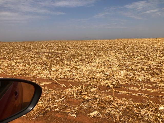 500 Hectares,planta soja, algodão, milho,argilosa Diamantino-MT